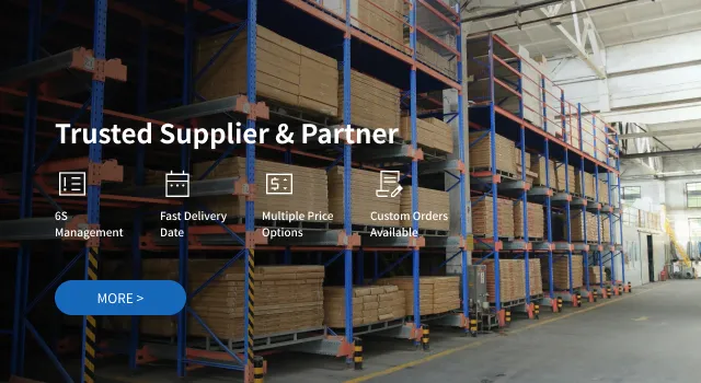 Trusted Supplier & Partner