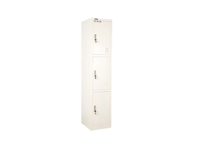 Single Storage locker