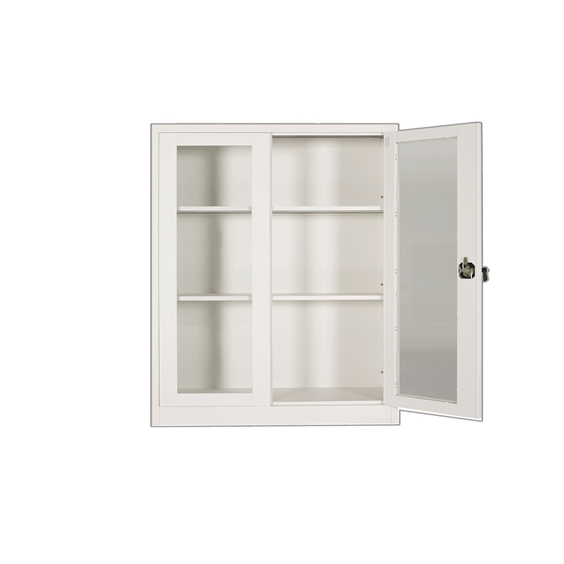Small Glass Swing Doors Cabinet