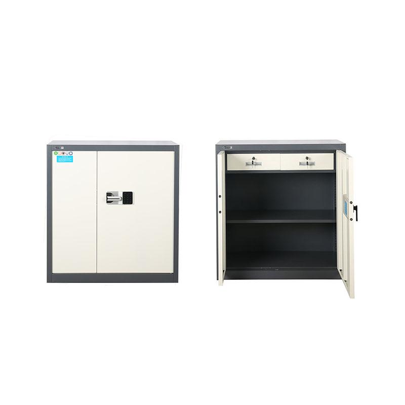 Half-height Security Metal Lockable Door Cabinet