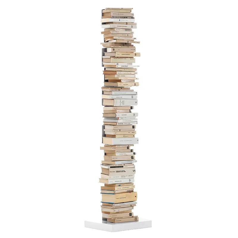 Invisible Bookcase Rack