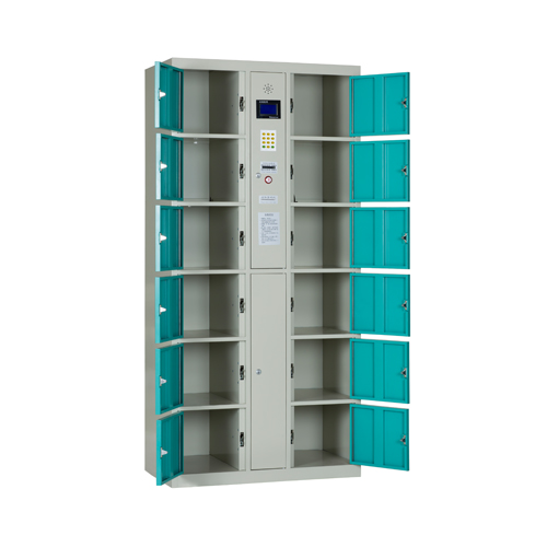 Electronic Storage Locker